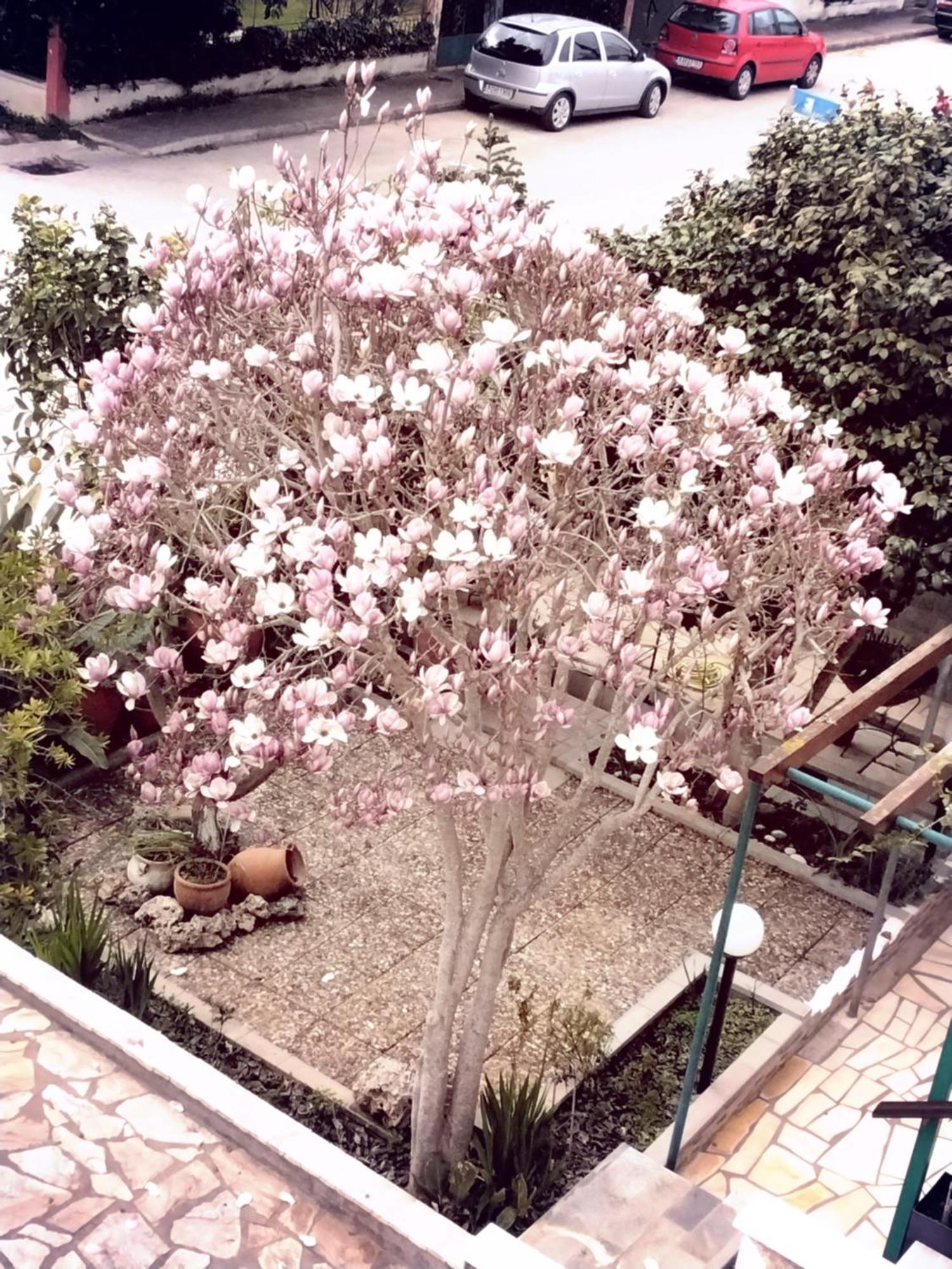 Αlexandras House Διαμέρισμα Πρέβεζα Εξωτερικό φωτογραφία